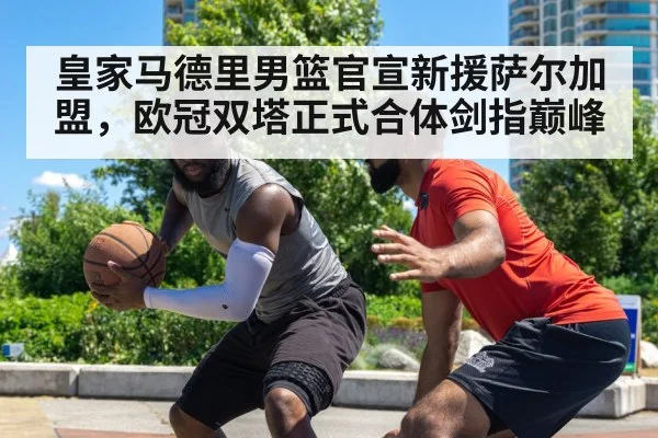 basketball twin towers defense